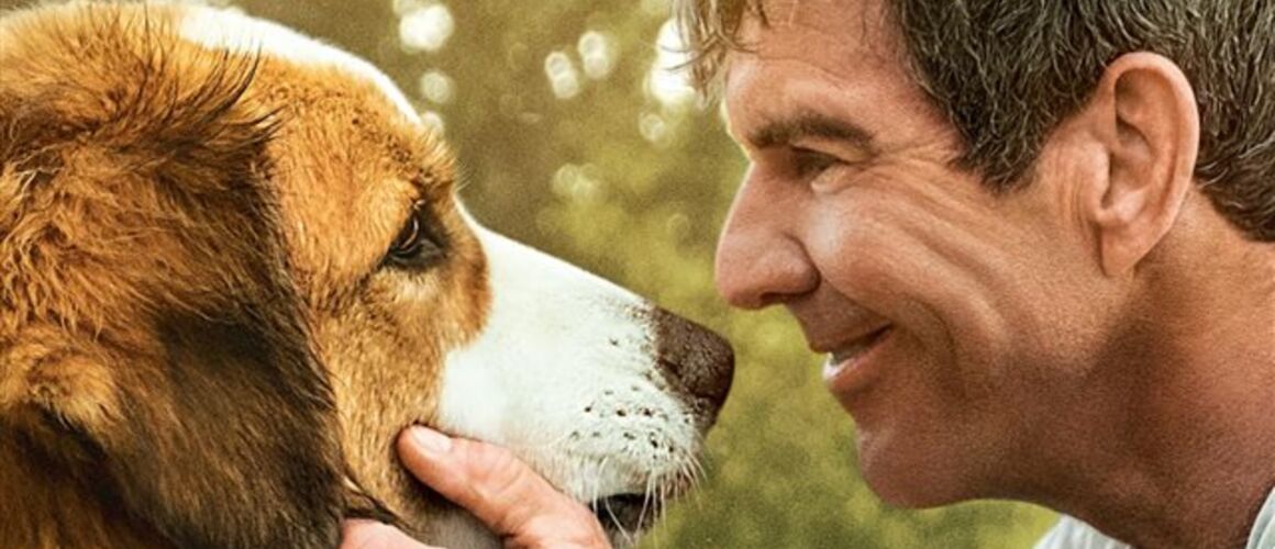 Mes autres vies de chien