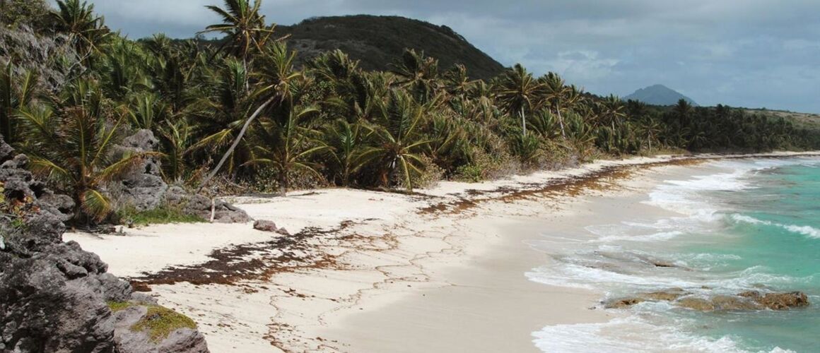 La Martinique à Pied Télé Loisirs - 