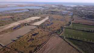 Les trésors cachés des marais