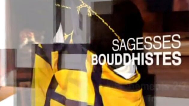 Les Plus Belles Paroles Du Bouddha Sagesses Bouddhistes Tele