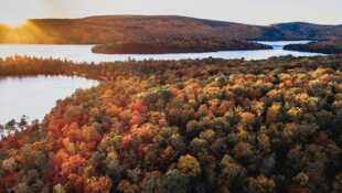 Faut pas rêver Au Québec : aux couleurs de l'été indien