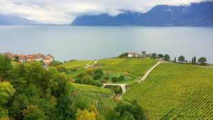 Un tsunami sur le lac Léman