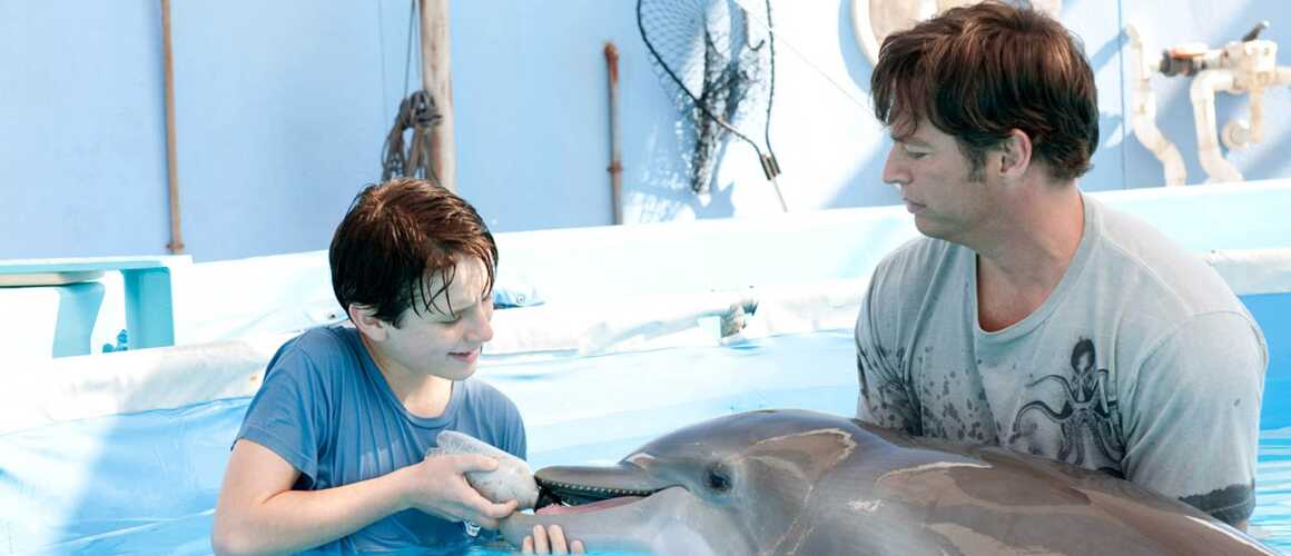 L'incroyable histoire de Winter le dauphin