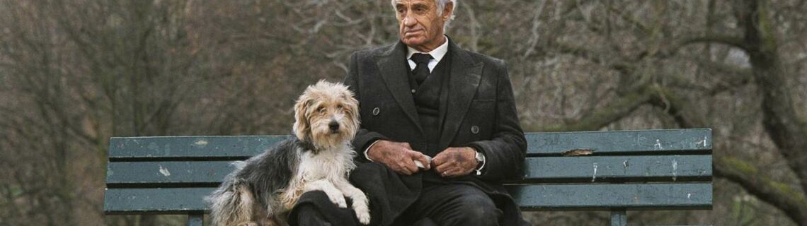 Un Homme Et Son Chien De Francis Huster Un homme et son chien de Francis Huster (2008), synopsis, casting