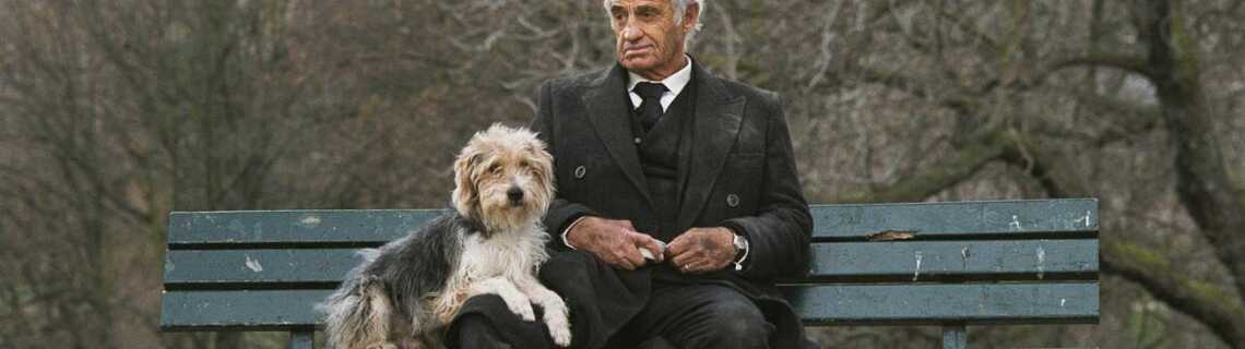 Film Un Homme Et Son Chien Un homme et son chien de Francis Huster (2008), synopsis, casting