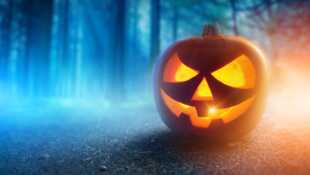 Bêtisiers du net Spécial Halloween 2018