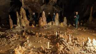 Neandertal Le mystère de la grotte de Bruniquel