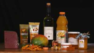 La mangue, itinéraire d'un fruit gâté