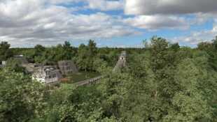 Tikal, la cité Maya disparue