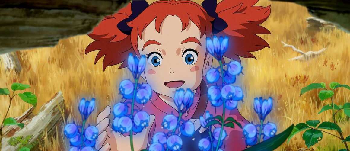 Mary et la Fleur de la sorcière