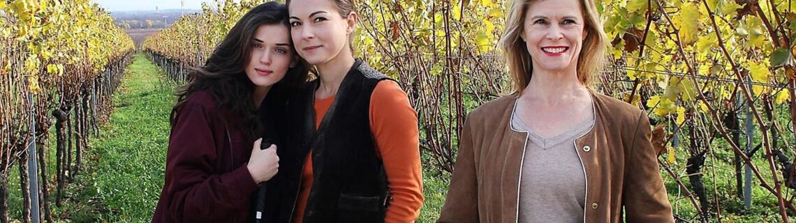 weingut wader teil 3 weingut wader teil 3