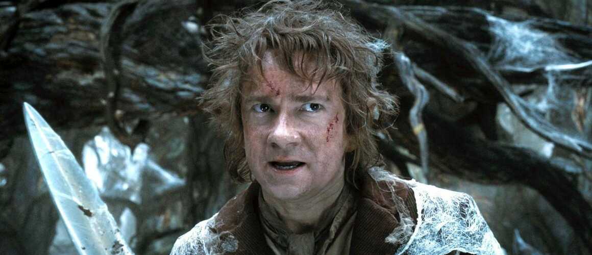 Le Hobbit : la désolation de Smaug