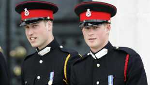 William et Harry, une saga royale