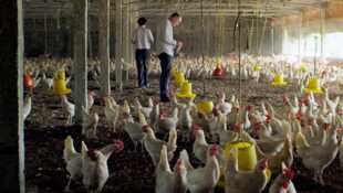 Antibiotiques, la fin du miracle ?