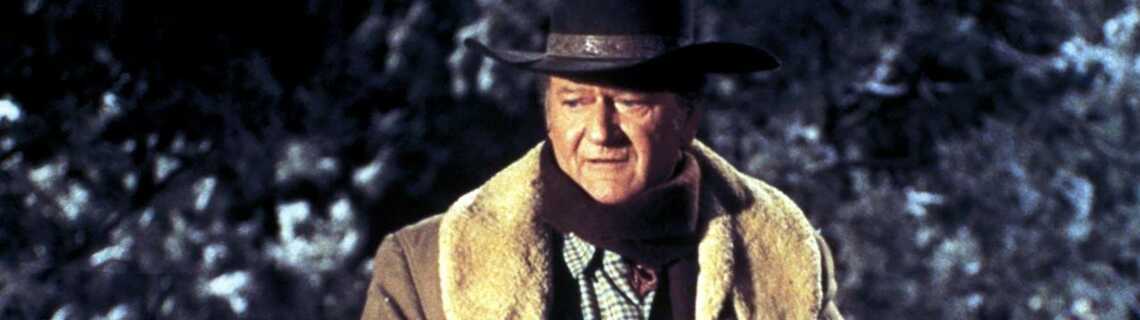 Les Cordes De La Potence Film Les cordes de la potence de Andrew V McLaglen (1973), synopsis, casting