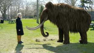 Comment cloner un mammouth laineux ?
