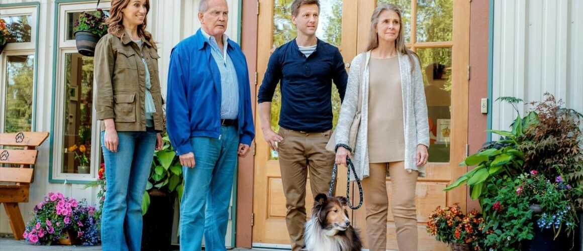 Un Refuge Pour L Amour Streaming Un refuge pour l'amour : 25/06/2018 à 13h45 sur M6 - Télé-Loisirs