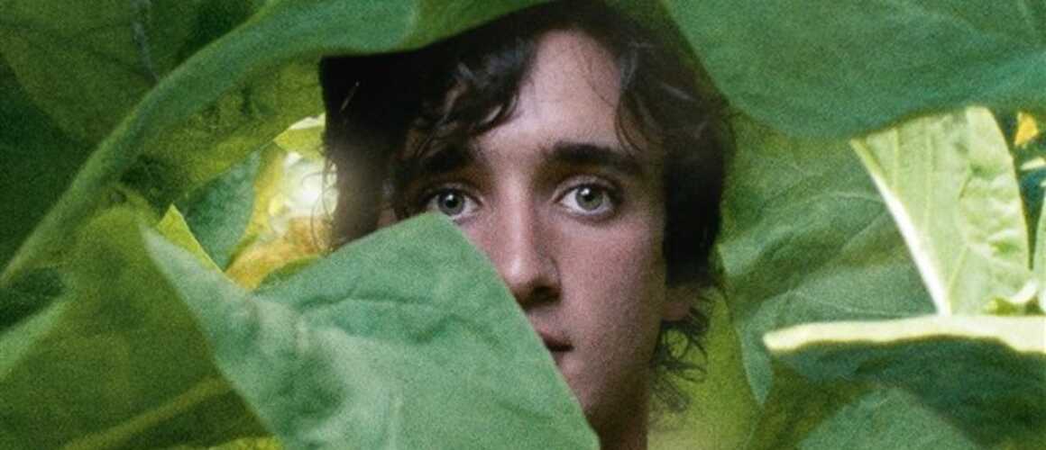 Heureux comme Lazzaro