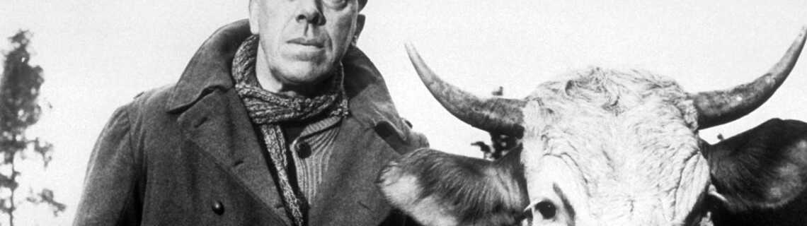 La vache et le prisonnier de Henri Verneuil (1959), synopsis, casting