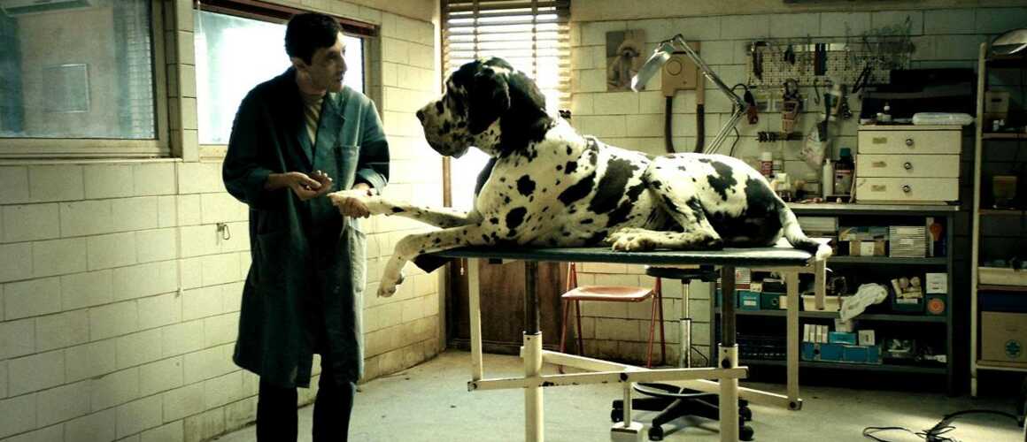 Dogman