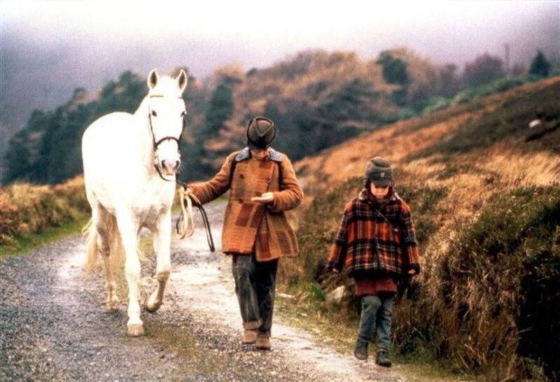 Le Cheval Venu De La Mer Streaming