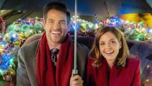 Un fiancé à louer pour Noël