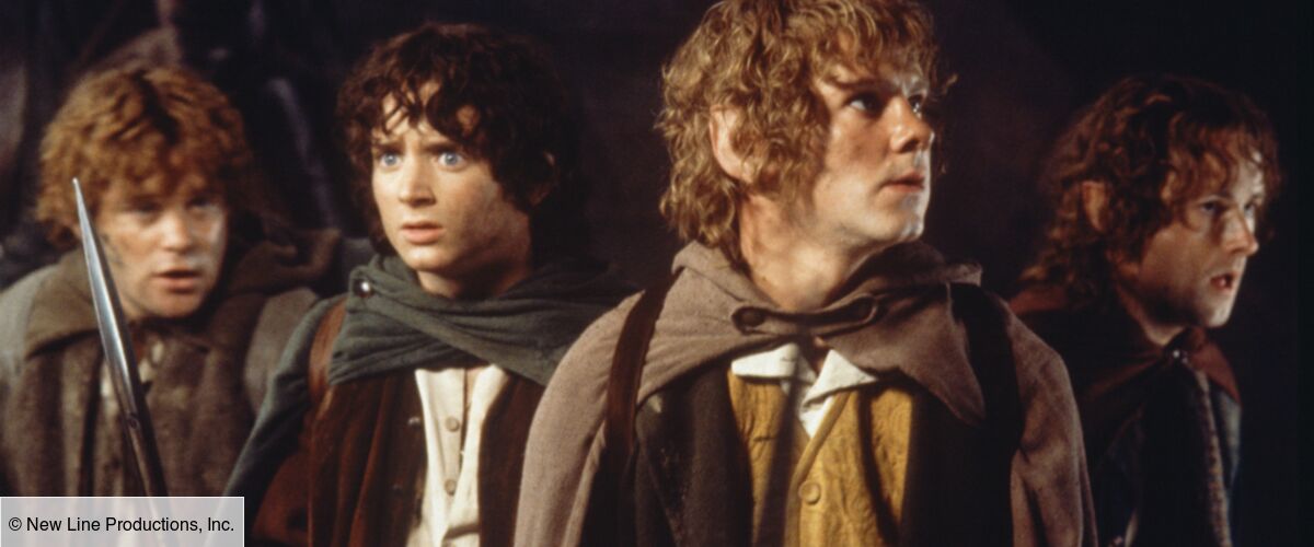 Le Seigneur Des Anneaux La Série Amazon Le Seigneur des anneaux (Amazon Prime Video) : casting, dates