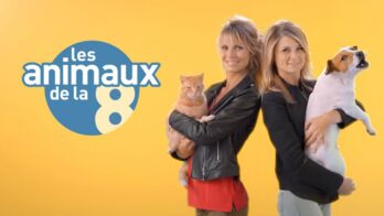 Les Animaux De La 8 Magazine Télé Loisirs