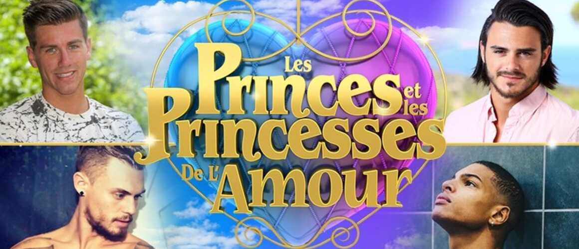 W9 officialise le casting complet des Princes et des princesses de l