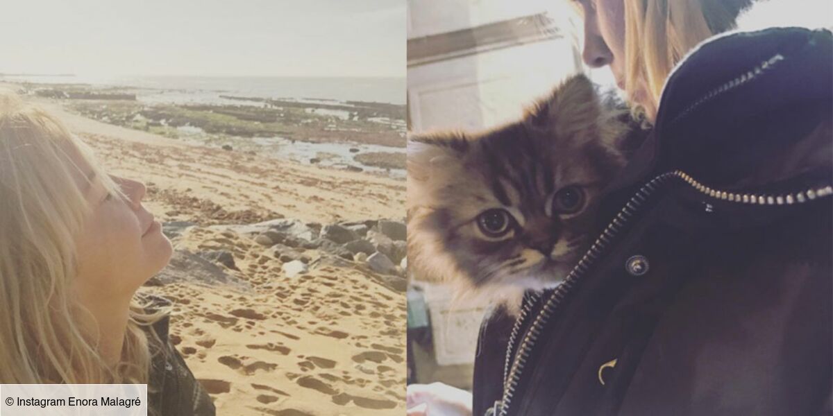 Selfie Avec Les Copains Photos De Son Adorable Chat Bruno Le Meilleur De L Instagram D Enora Malagre Photos