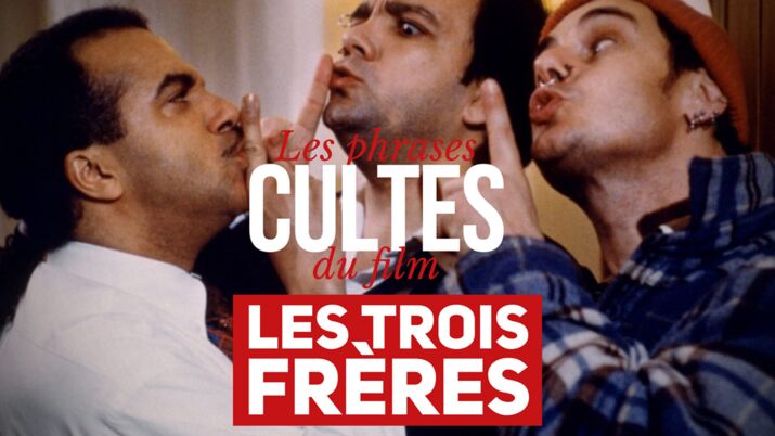 Regarder Les Trois Frères Les 3 frères, le retour de Didier Bourdon (2014), synopsis, casting