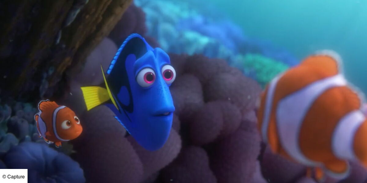 Bande-annonce Le monde de Dory : l'ultime voyage de Dory, Nemo et Marin