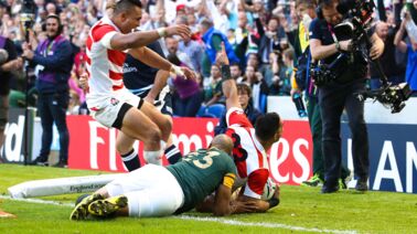 Coupe Du Monde De Rugby Les Fleurs De Cerisier Laigle Ou