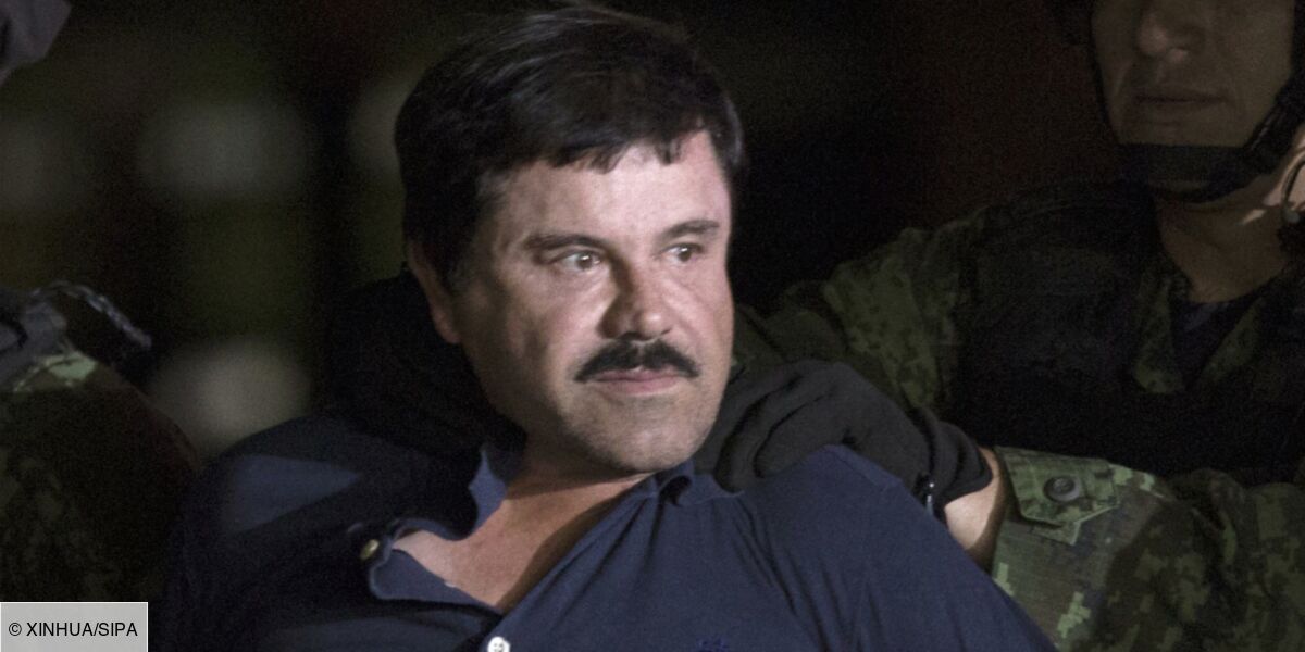 Film Baron De La Drogue Netflix Le baron de la drogue El Chapo sera le héros d'une série télé