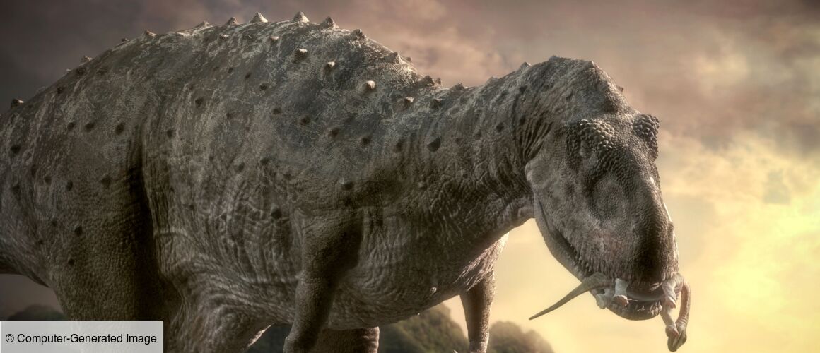 Documentaire Sur Les Dinosaures En Francais Les dinosaures envahissent Canal+ - actu - Télé 2 semaines