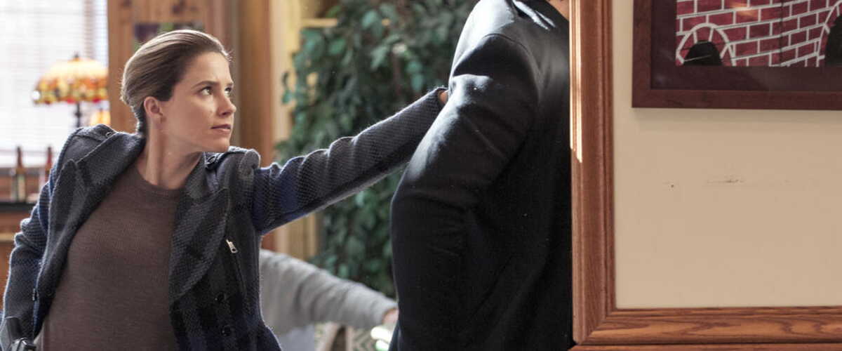 Sophia Bush quitte la série Chicago Police Departement