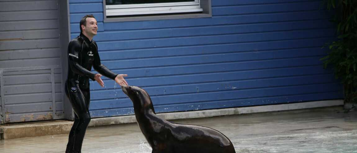 Une Saison Au Zoo France 4 Horaire Programme TV : Une saison au zoo (France 4) revient pour une saison 4