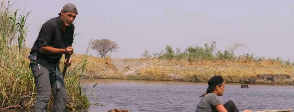 a létat sauvage laure manaudou