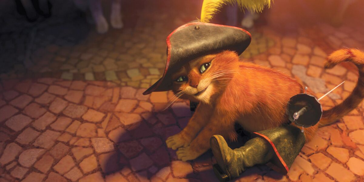 Le Chat Potté (France 2) : 10 chats trop mignons qui nous font encore ...