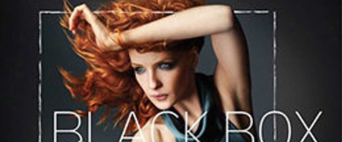 Black Box Serie Staffel 2