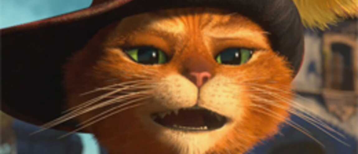 Félin Faisant Les Yeux Doux Dans Shrek Le Chat potté de Shrek fait encore des siennes ! (VIDEO)