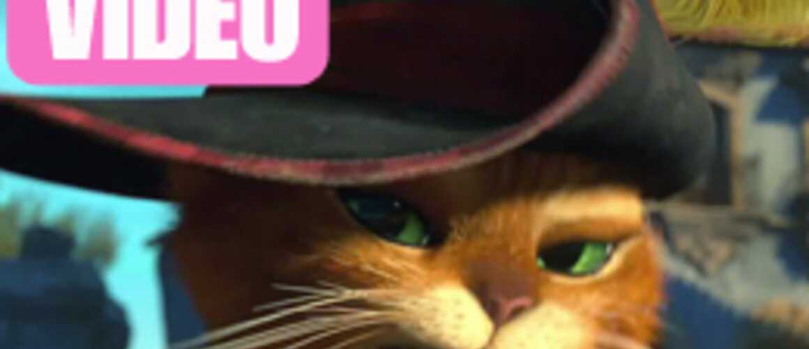 Le chat potté telechargement gratuit