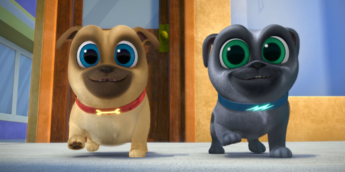 Disney Junior : Le Monde de Bingo & Rolly est fait pour votre enfant si...
