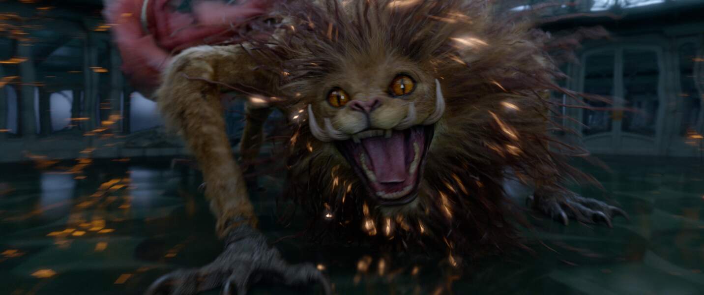 Qui Est Croyance Dans Les Animaux Fantastiques Les animaux fantastiques. Découvrez les 1eres photos du 2ème volet : Le