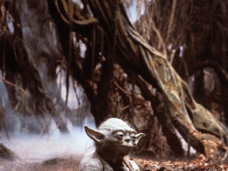 Yoda, le personnage de Star Wars préféré des internautes de Télé Loisirs !