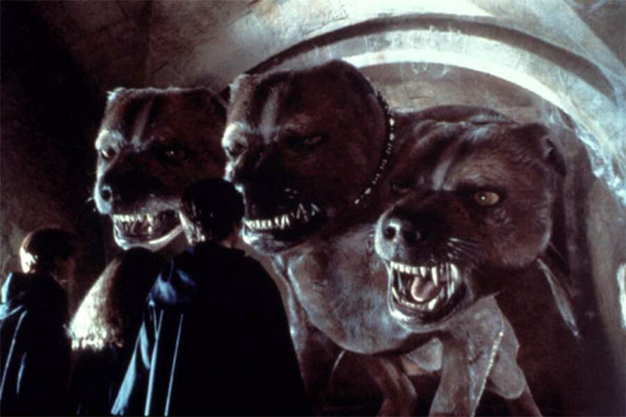 Chouette, elfes, dragons... Notre bestiaire 100 créatures fantastiques du monde d