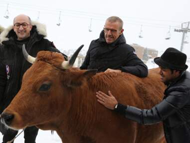 Festival de l'Alpe d'Huez : Jamel Debbouze heureux et une vache pour la présentation du film La Vache