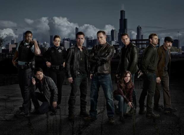 Chicago Police Department - Saison 9 Chicago Police Department : vous avez déjà vu ces acteurs dans d'autres