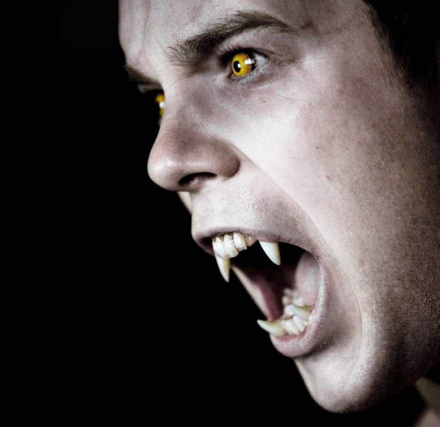 De Buffy à Teen Wolf les loupsgarous dans les séries Télé Loisirs