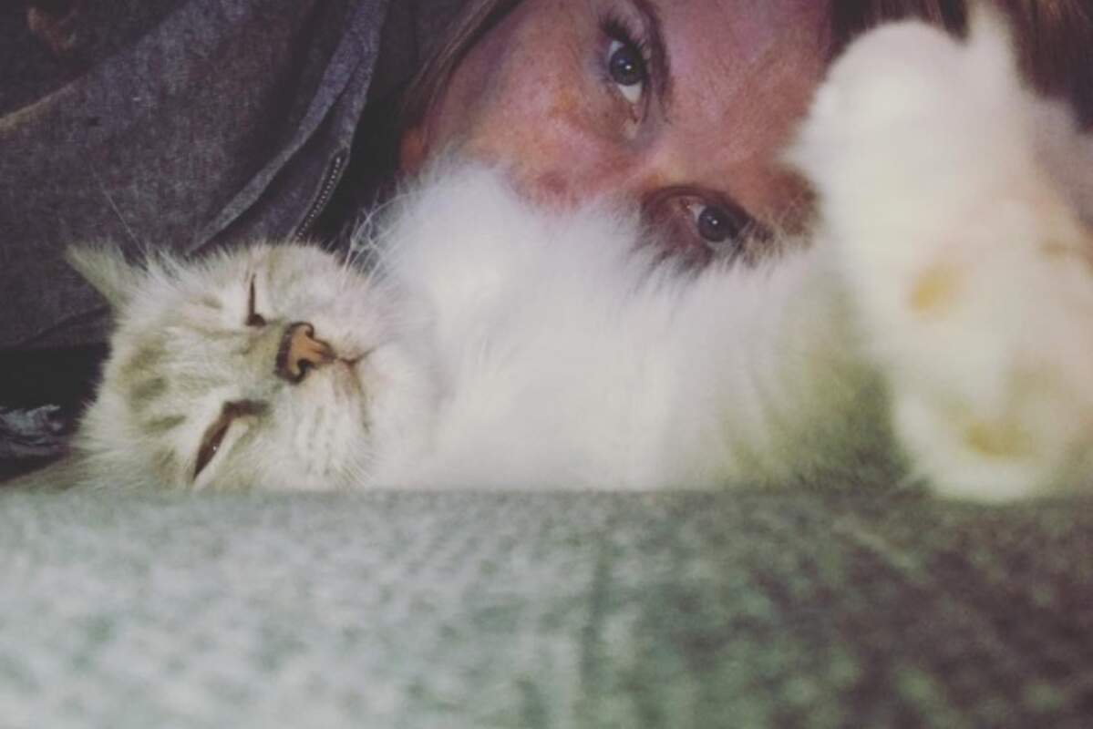 Maillot De Bain Les Animaux De La 8 Elodie Ageron Du sport, du fun... et des poils ! L'instagram plein de pep's de Sandrine  Arcizet - Télé Loisirs